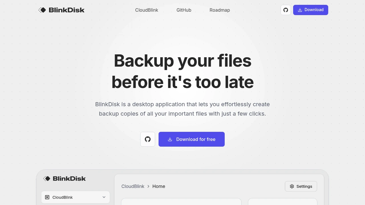 BlinkDisk product interface