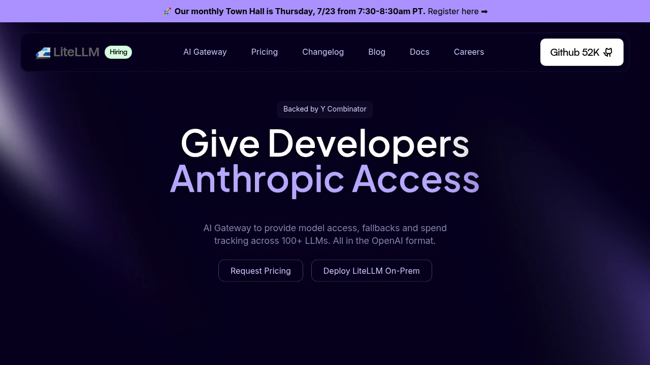 LiteLLM product interface