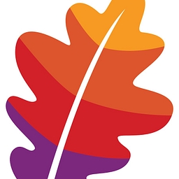 Apache Pinot logo