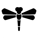 Dragonfly logo